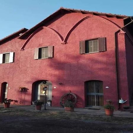 Il Baffetto B&B Рим Екстериор снимка