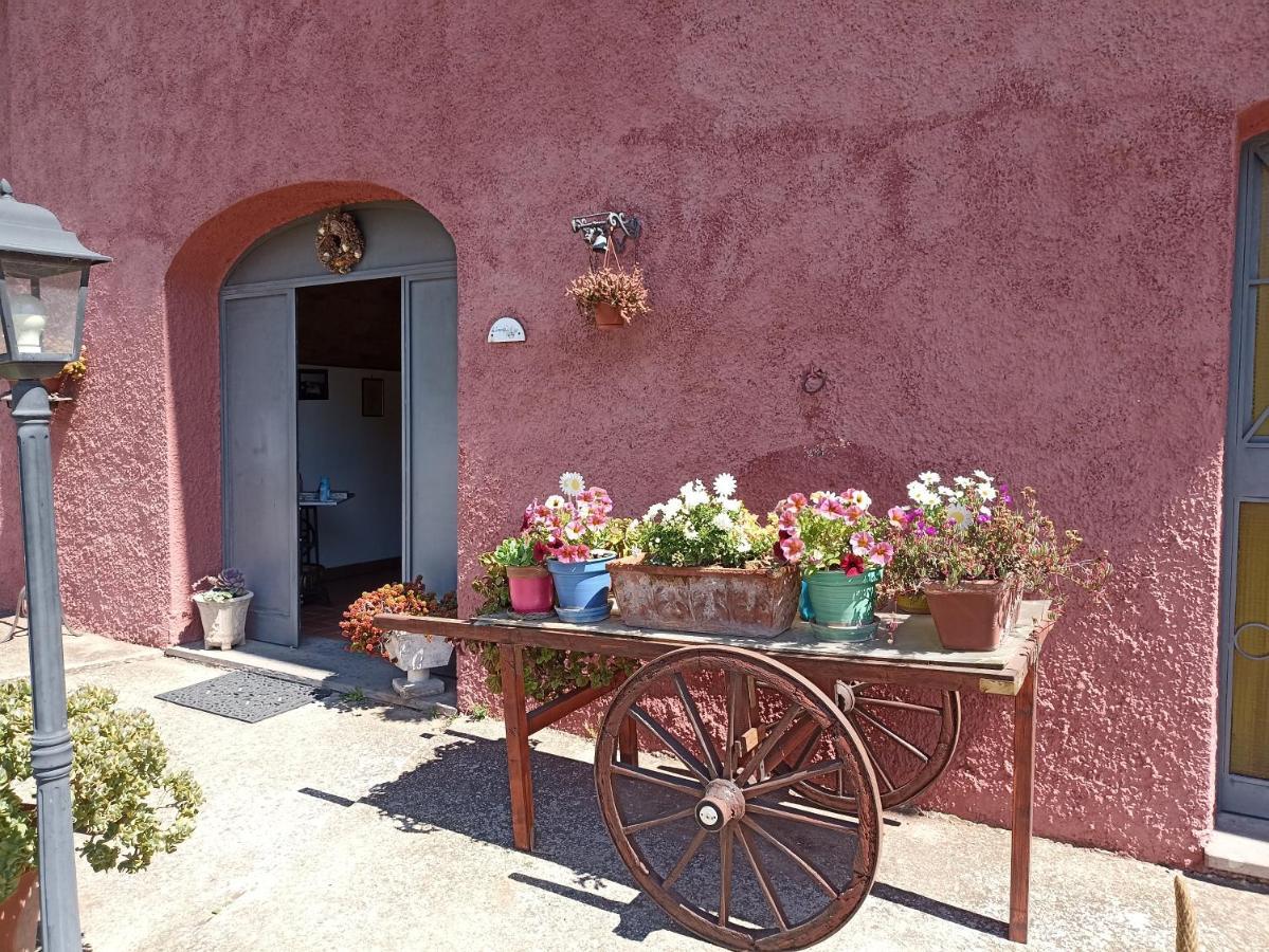 Il Baffetto B&B Рим Екстериор снимка